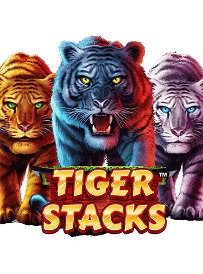 টাইগার স্ট্যাকস